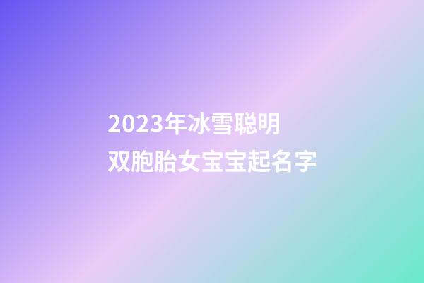 2023年冰雪聪明 双胞胎女宝宝起名字